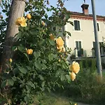 Al Vecchio Gelso Séjour à la campagne La Morra