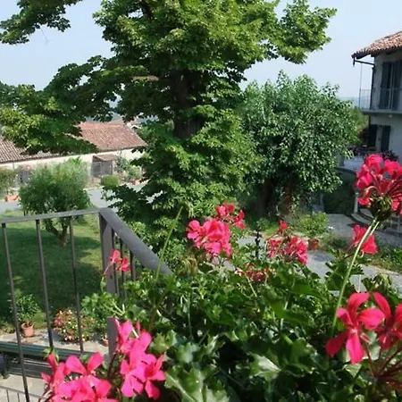 Al Vecchio Gelso